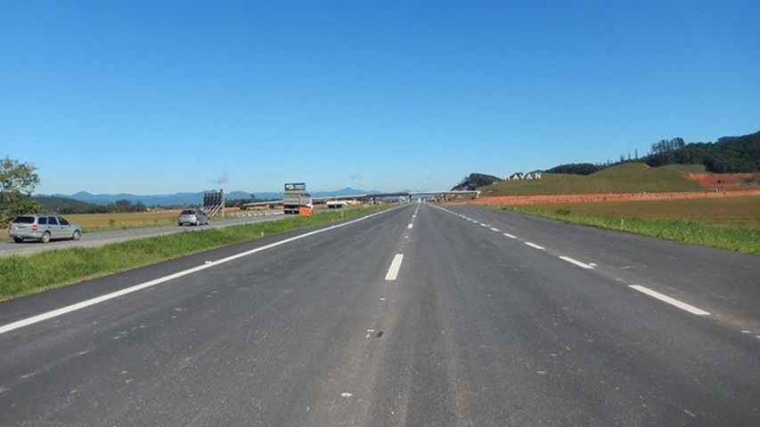 Mulher socorre mamífero venenoso na estrada e vai parar no hospital