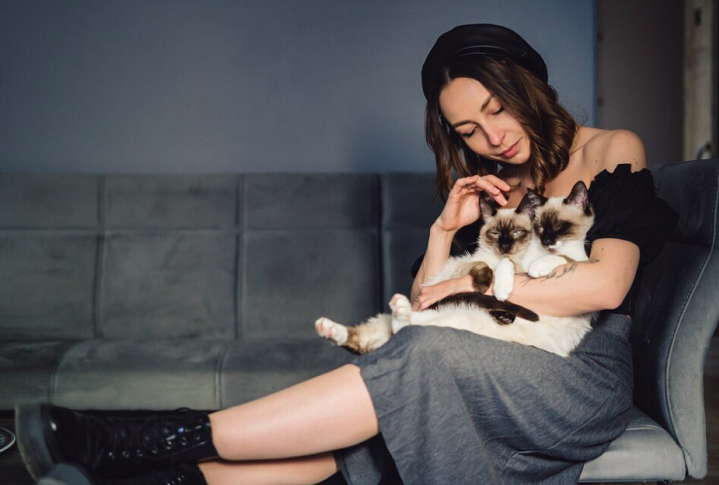 Um dos motivos para a preferência por gatos é que eles não demandam tanta atenção como outros pets. Eles são mais independentes.  Veja algumas raças de gatos que são muito queridas pelas pessoas no Brasil. -freepik ArthurHidden