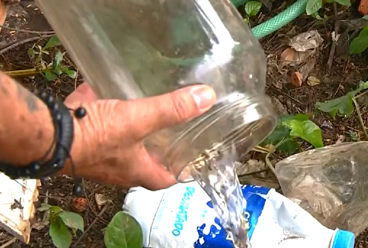 Ao adicionar água, os ovos eclodem e passam pelas fases de larva, pupa e mosquito adulto. Os insetos saem por pequenos furos no topo da caixa e iniciam o processo de disseminação da bactéria na população local de Aedes aegypti.