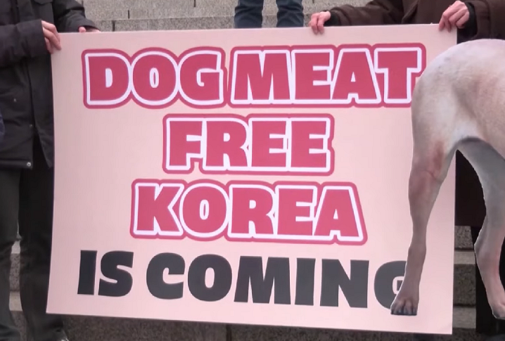 Toda a polêmica começou depois de um aumento significativo de campanhas em prol dos direitos dos animais e preocupações sobre a reputação internacional da Coreia do Sul. Os parlamentares, então, aprovaram o texto e deram um prazo para que a indústria e os trabalhadores busquem alternativas. 