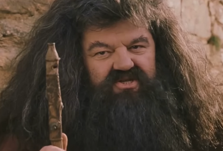Rúbeo Hagrid é o Guardião das Chaves e dos Terrenos de Hogwarts. Ao longo da série, ele é conhecido sua paixão por criaturas mágicas e seu papel como mentor e amigo próximo de Harry, Ron e Hermione. - reprodução