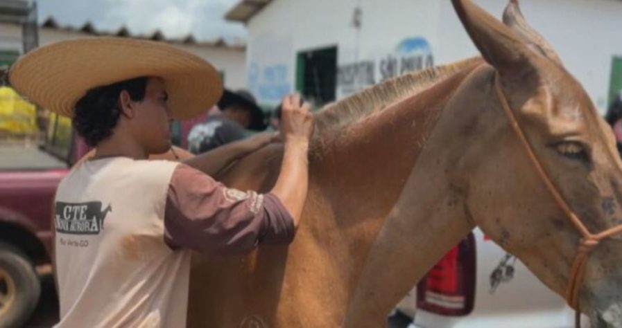 Encontro de Muladeiros