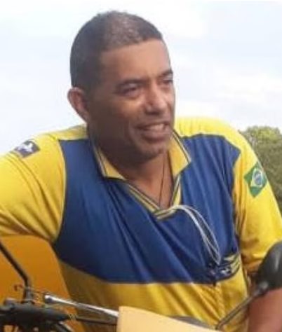 Abelhas
