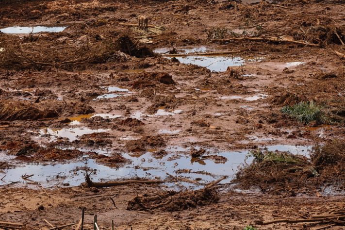 Tragédia de Brumadinho
