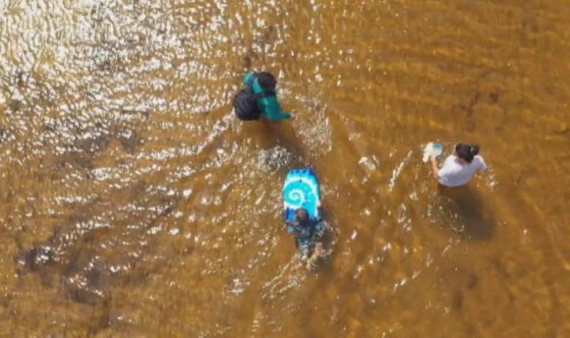 Piscinas naturais atraem turistas a Santa Catarina