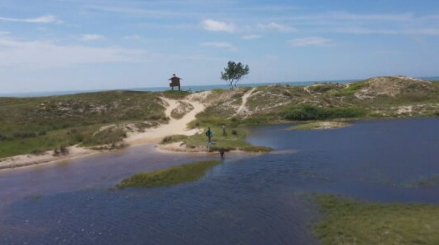 E é justamente para a fase larval que lagos e lagoas são ambientes ideais para as libélulas, pois as larvas muitas vezes ficam escondidas entre pedras e vegetação subaquática.