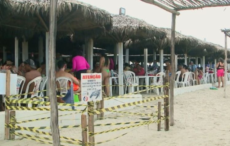 NInhos de tartarugas marinhas no litoral do Piauí