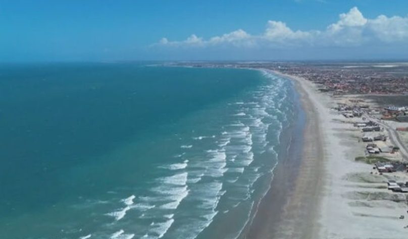 NInhos de tartarugas marinhas no litoral do Piauí