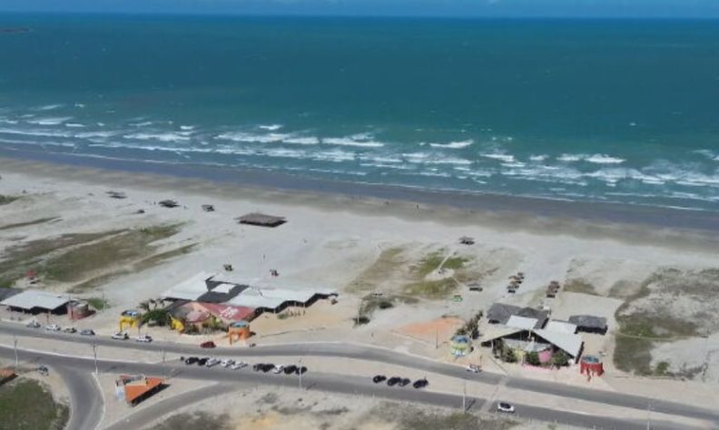NInhos de tartarugas marinhas no litoral do Piauí