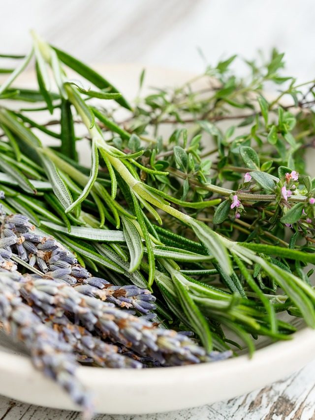 Quer melhorar a memória? Esses alimentos e plantas ajudam