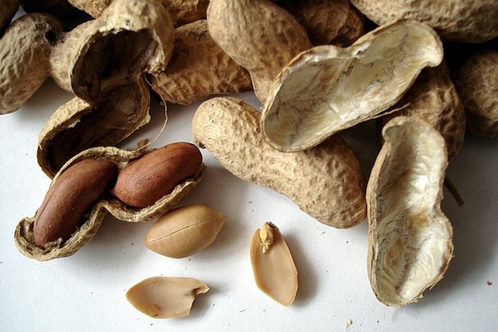 Amendoim Cru- Quando cru, além de ser consumido ao natural, pode ser torrado e salgado ou então caramelizado com cacau. É utilizado para fazer leite vegetal e pastas de amendoim. A cada 15 gramas possui 86 calorias.
