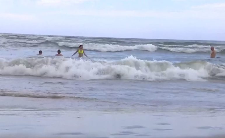 Águas-vivas em praias gaúchas 