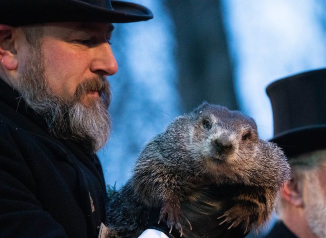 Dia da Marmota nos EUA