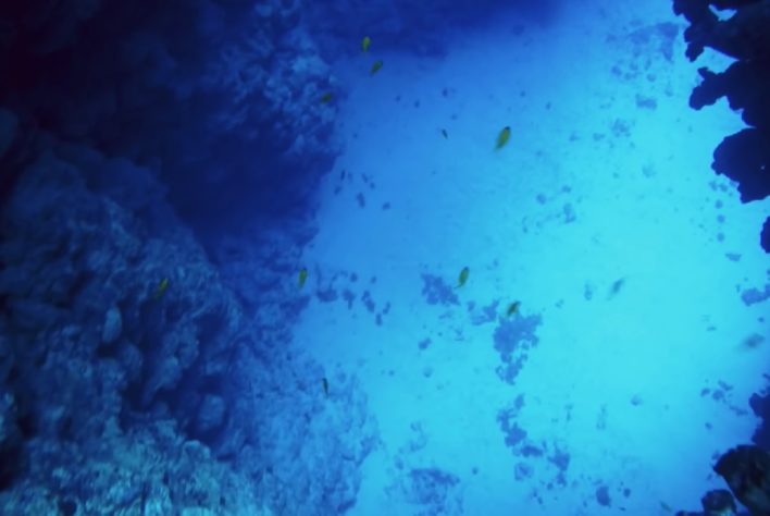 Pesquisadores descobrem cânion gigante no fundo do mar mediterrâneo