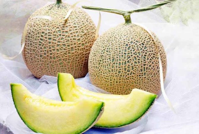 Saiba por que as frutas são tão caras no Japão