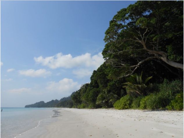 Praia de Radhanagar, Índia