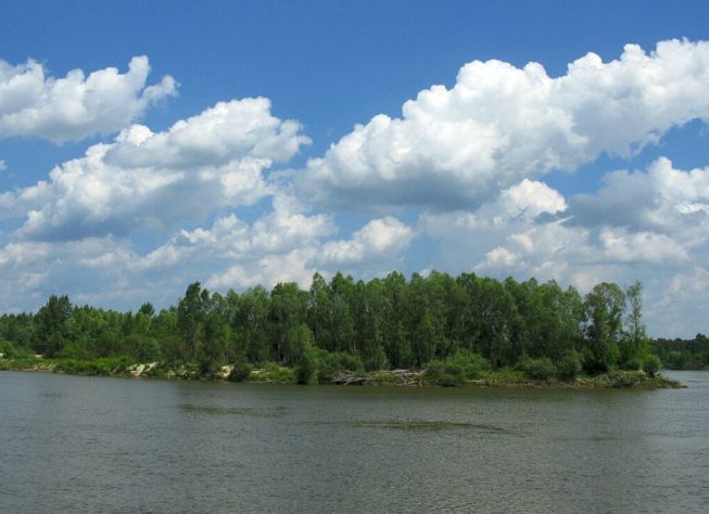 Ilha fluvial GENÉRICA 