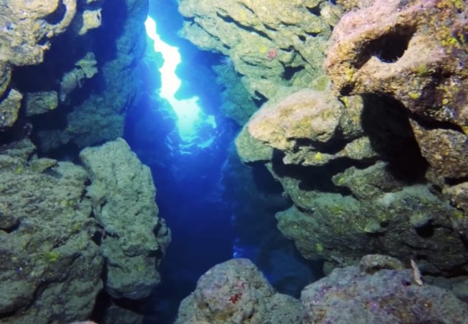Pesquisadores descobrem cânion gigante no fundo do mar mediterrâneo