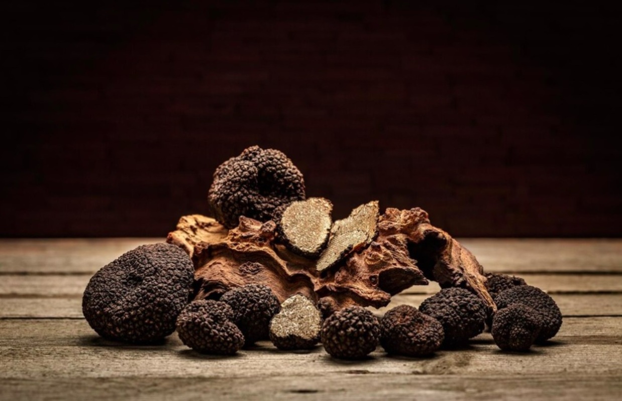 A trufa negra é apreciada por chefs de cozinha e gourmets por seu sabor e aroma terrosos, com notas de chocolate, nozes e especiarias. -Grafvision freepik