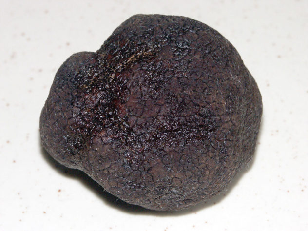 Trufas negras