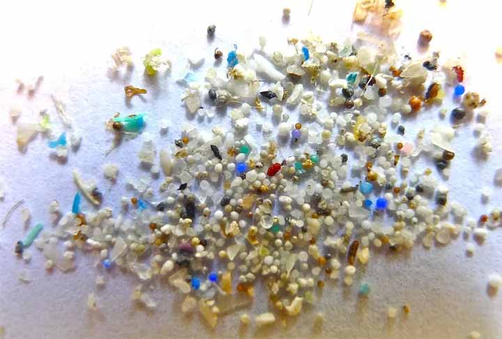 MIcroplásticos - Flickr/OregonStateUniversity