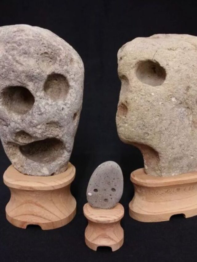 Formatos que impressionam: Museu no Japão expõe pedras que parecem rostos