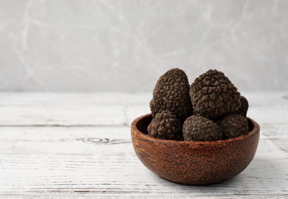 Devido à sua raridade e dificuldade de cultivo, a trufa negra é um dos ingredientes mais caros do mundo.-freepik