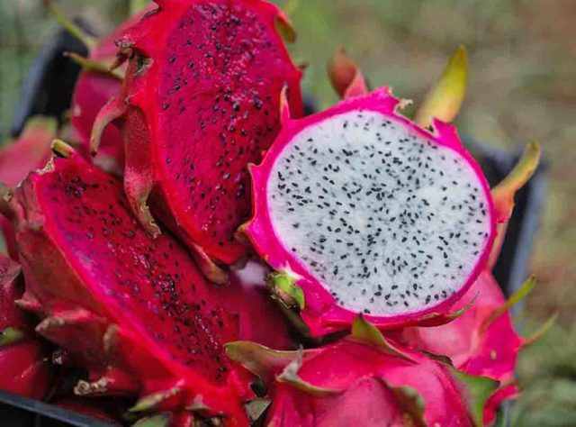 Frutas