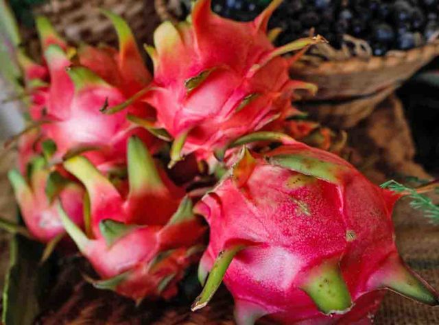 Frutas