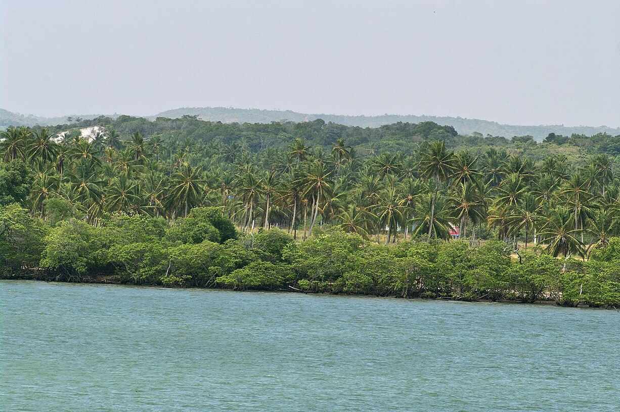 Ilha do Mosqueiro, Brasil (área: 580 km²): A sexta maior ilha fluvial do mundo fica no Pará e conta com praias, manguezais e áreas de preservação.