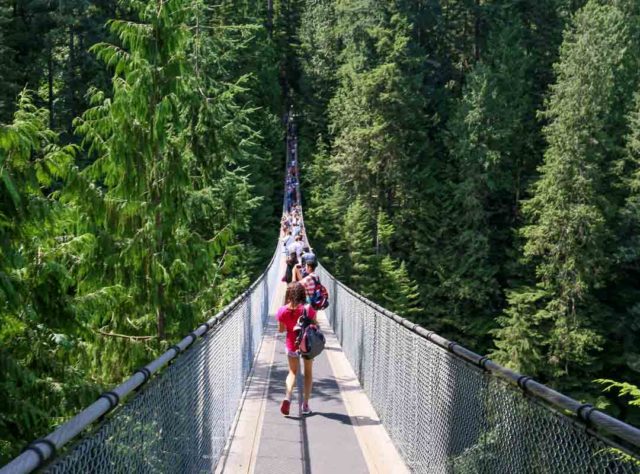 Ponte Suspensa Capilano, Canadá