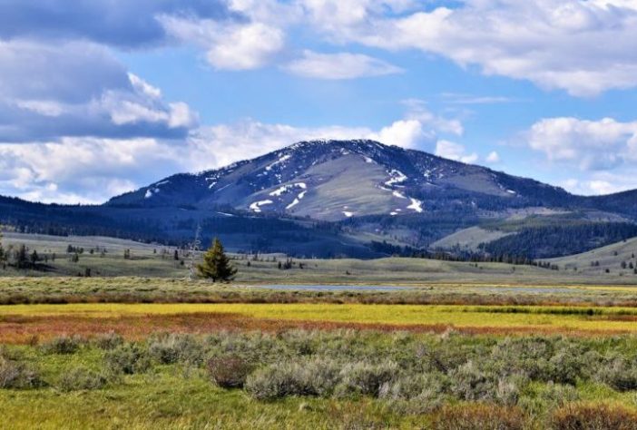 Parque Yellowstone, EUA - Kerry/Pexels