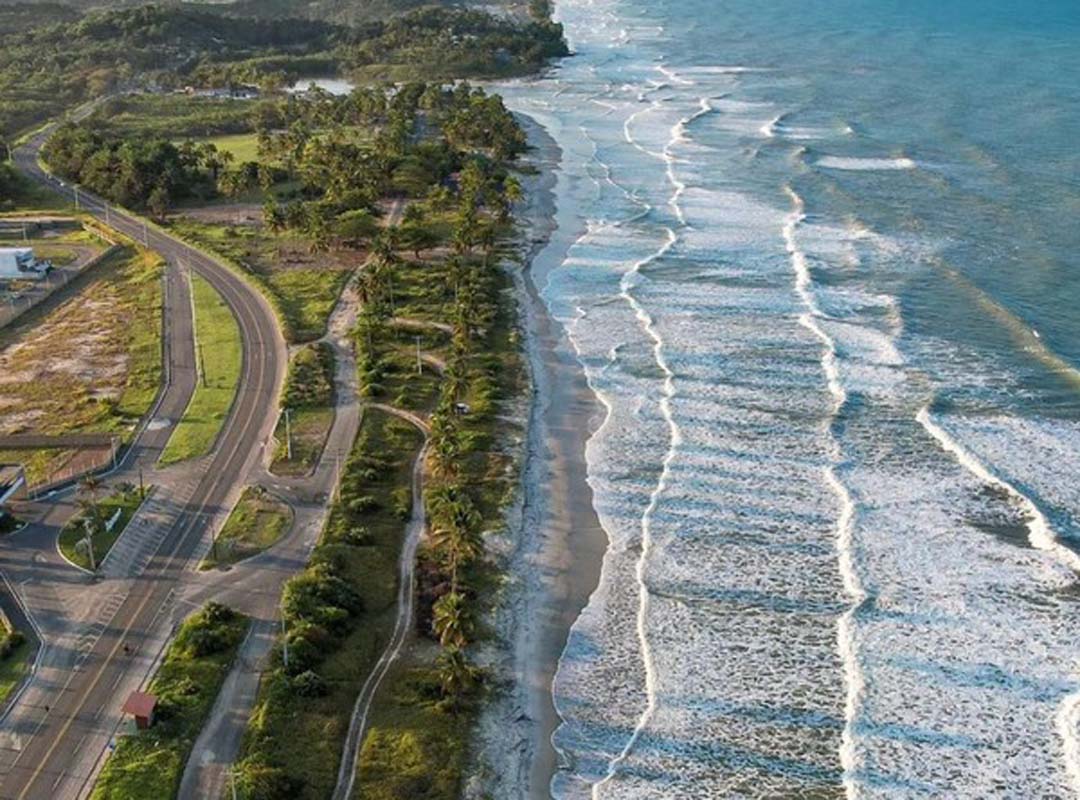 A região cacaueira do sul da Bahia, marcada por disputas de poder, conflitos sociais e dramas humanos, inspirou muitos dos livros de Jorge Amado. Esse universo aparece com força em obras como “Cacau”, “Terras do Sem-Fim” e “São Jorge dos Ilhéus”.