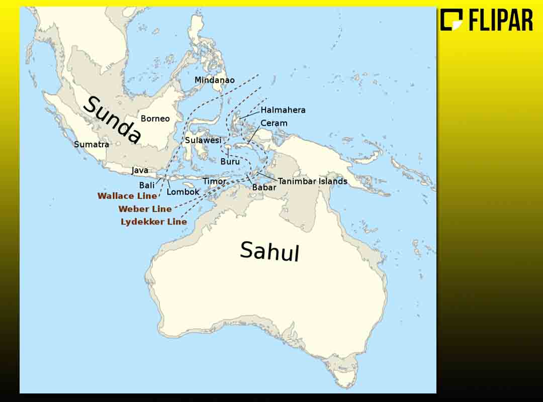 No Sahul, a extensa terra hoje submersa se ligava aos territórios que hoje referem-se a Austrália, Tasmânia e Nova Guiné.