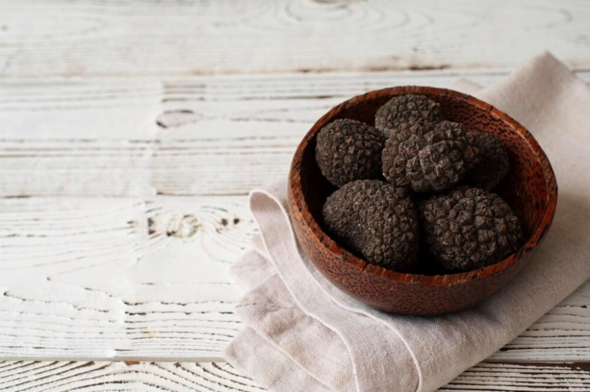 Na natureza, as trufas ajudam a espalhar os seus esporos, o que é importante para manter o equilíbrio e garantir que a espécie continue existindo. Isso acontece porque esses esporos vão gerar novas trufas com o passar do tempo.-freepik