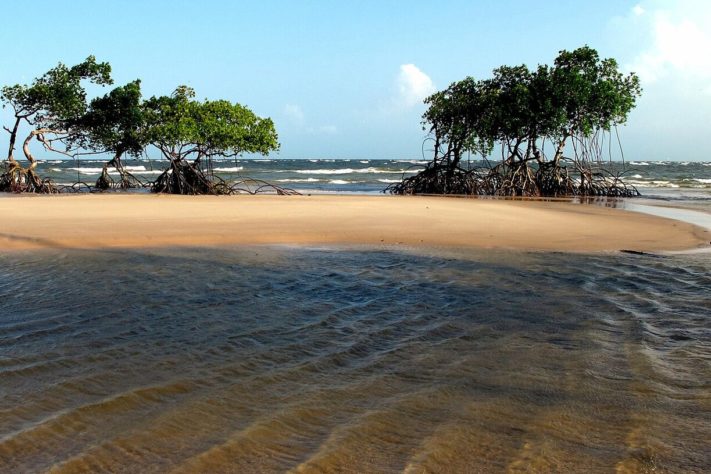 Ilha de Marajó, Pará