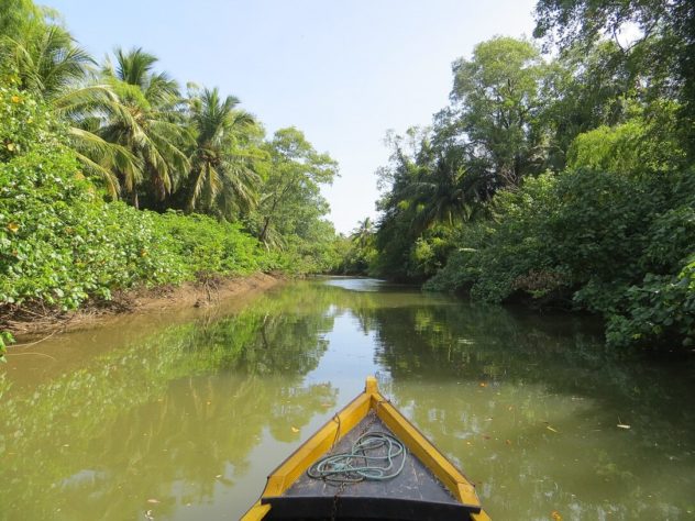 Ilha de Marajó, Pará