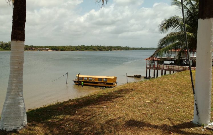 Ilha de Marajó, Pará