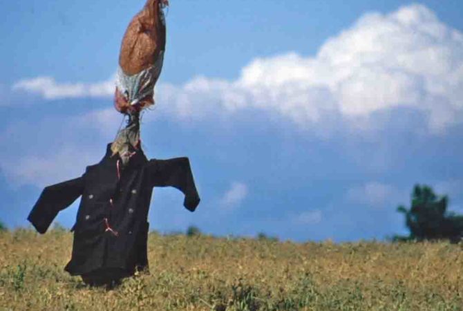 Pense num espantalho. Agora surpreenda-se com a incrível variedade do ‘protetor’ das plantações
