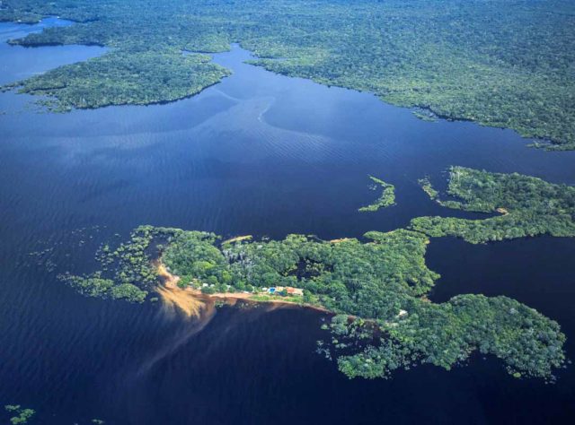 Parque Nacional de Anavilhanas, Amazonas