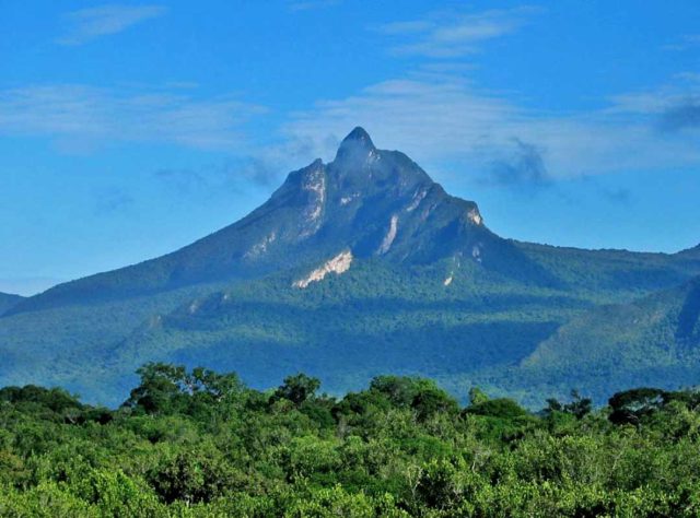 Parque Nacional do Pico da Neblina