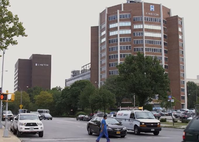 Fundada em 1955, a Albert Einstein College of Medicine  faz parte do sistema de saúde Montefiore Health System e é conhecida por sua forte ênfase em pesquisa biomédica.