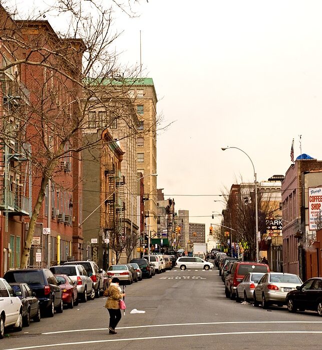 É o quarto maior distrito de Nova York em população, com mais de 1,4 milhão de habitantes.