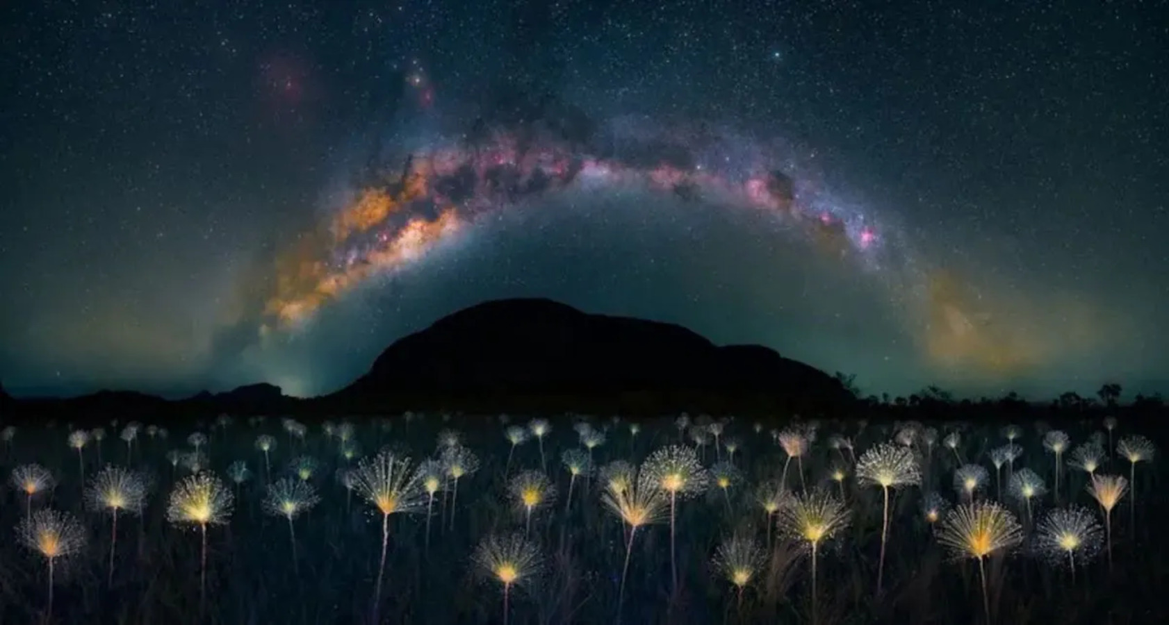 Em fevereiro de 2024, o brasileiro Márcio Cabral venceu o concursos "The Nature Photography Contest" mostrando uma planta típica do Cerrado, o "chuveirinho". Usando técnica de light paint para iluminar as plantas, que têm hastes e flores brancas, ele conseguiu um efeito encantador. A foto se chama "Chuveirinho do Cerrado".