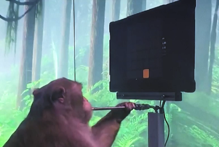 Chip Elon Musk - teste em macacos
