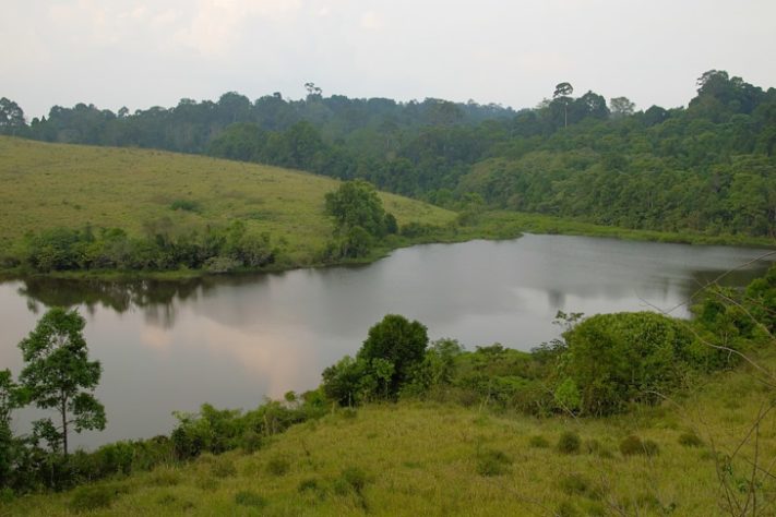 Complexo Florestal de Dong Phayayen-Khao Yai