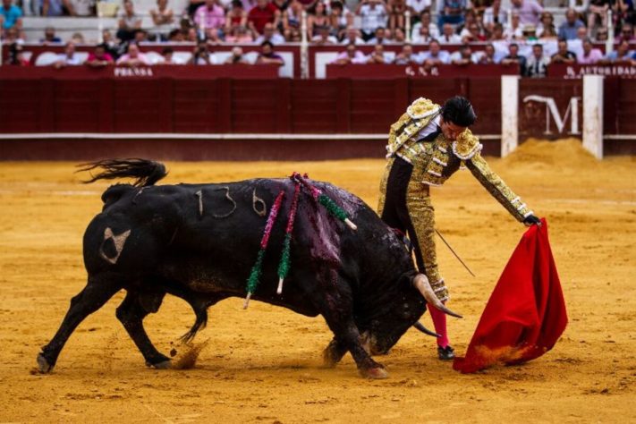 Tauromaquia - Touradas
