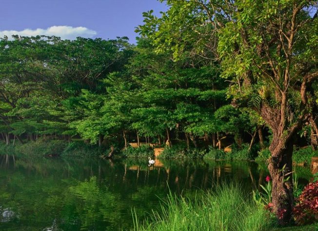 Resort InterContinental Khao Yai
