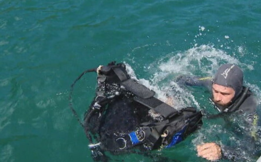 Coral-Sol: Mergulhadores removem espécie invasora no litoral brasileiro