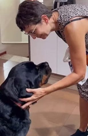 Rotweiller
